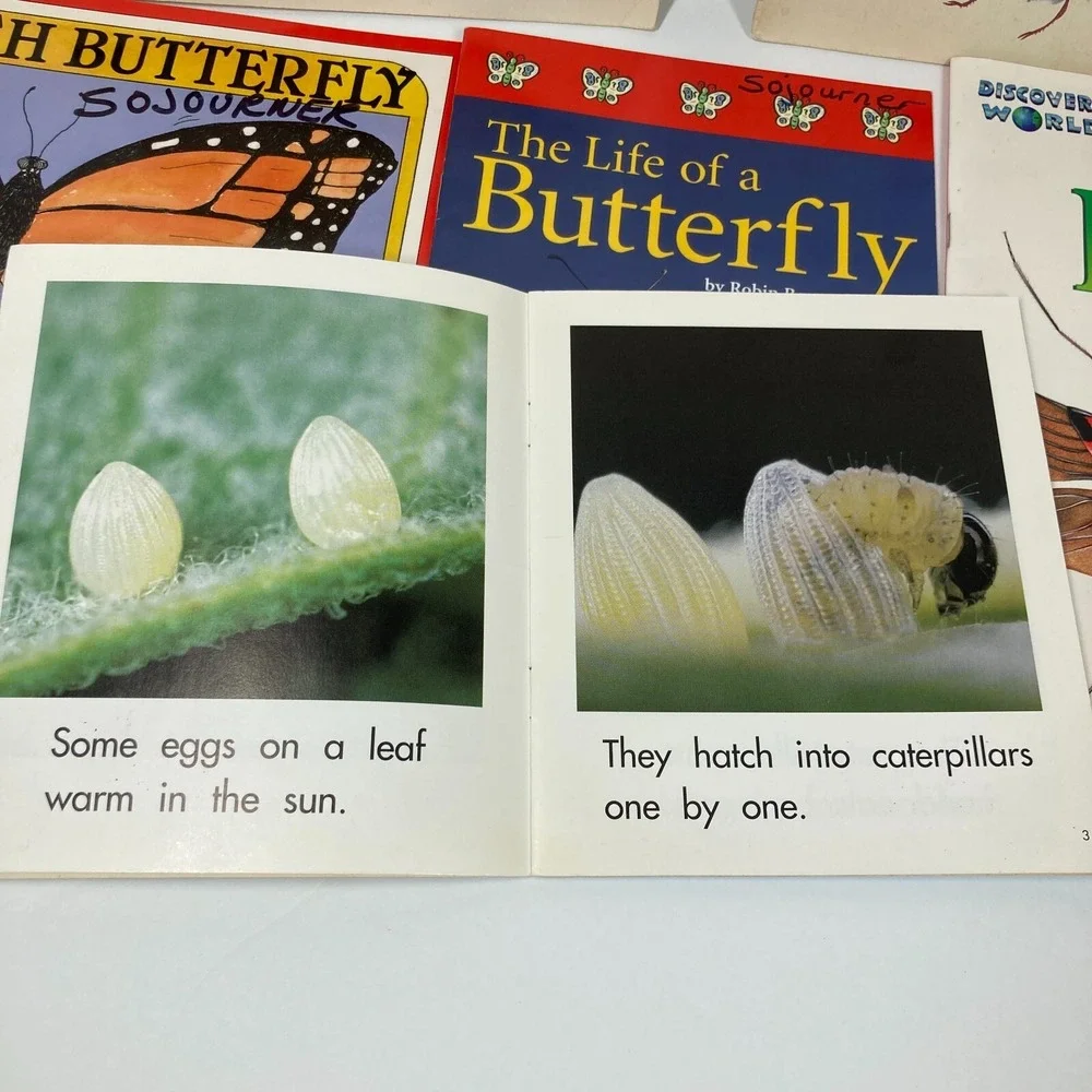 Lot Of 6 Insect‎ Paperback Single Copies Children Homeschool Tutoring Classroom